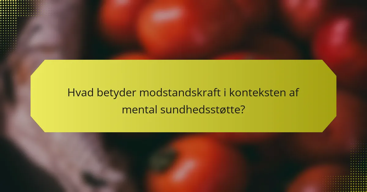 Hvad betyder modstandskraft i konteksten af mental sundhedsstøtte?
