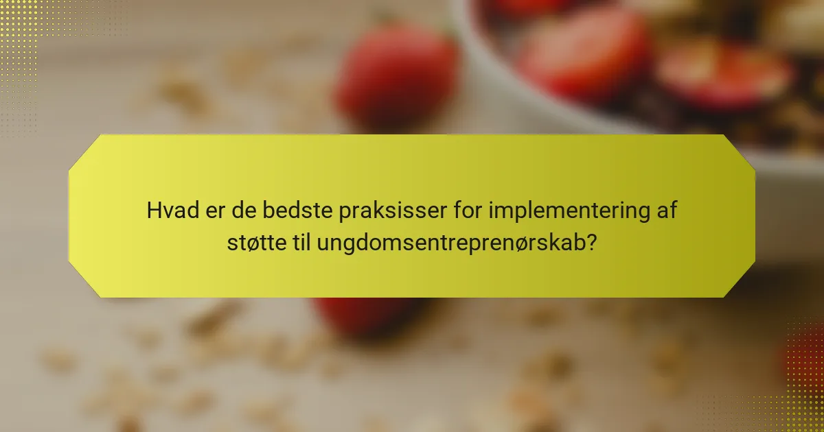 Hvad er de bedste praksisser for implementering af støtte til ungdomsentreprenørskab?