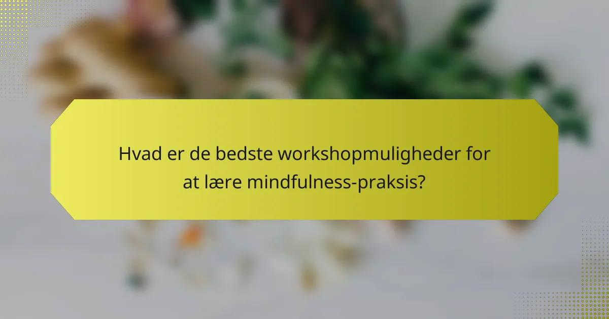 Hvad er de bedste workshopmuligheder for at lære mindfulness-praksis?