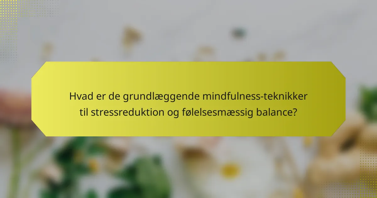 Hvad er de grundlæggende mindfulness-teknikker til stressreduktion og følelsesmæssig balance?