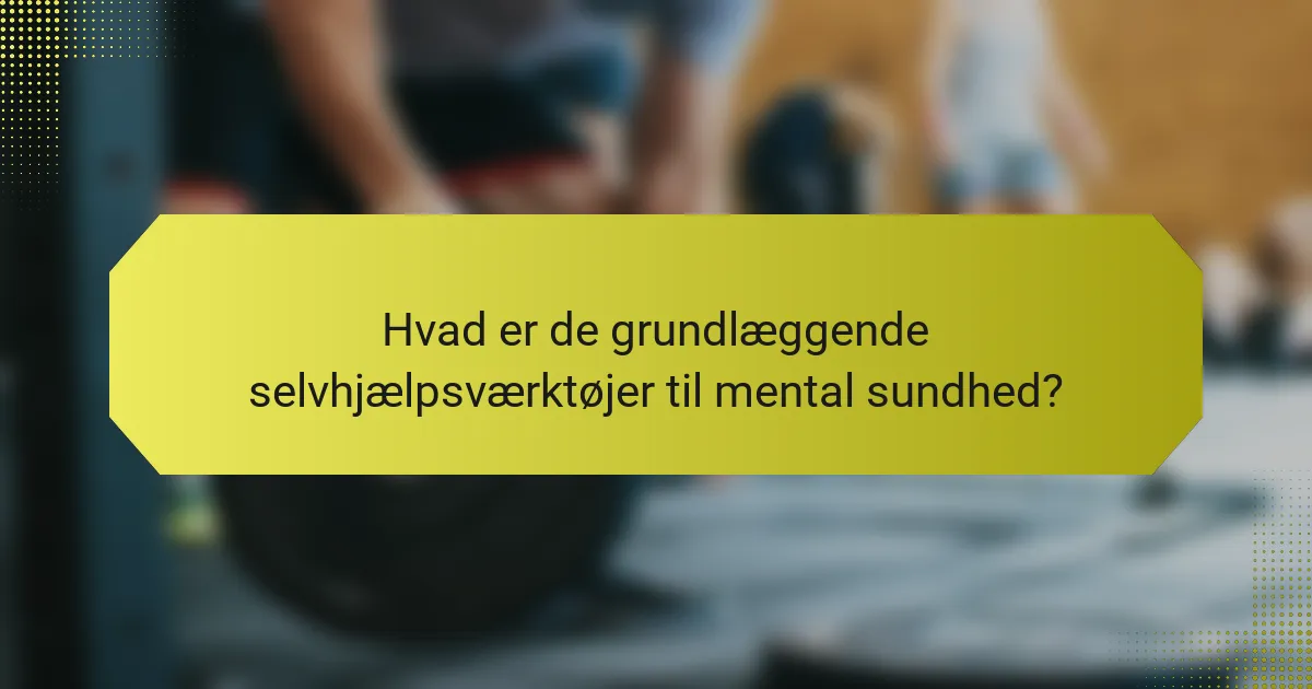 Hvad er de grundlæggende selvhjælpsværktøjer til mental sundhed?