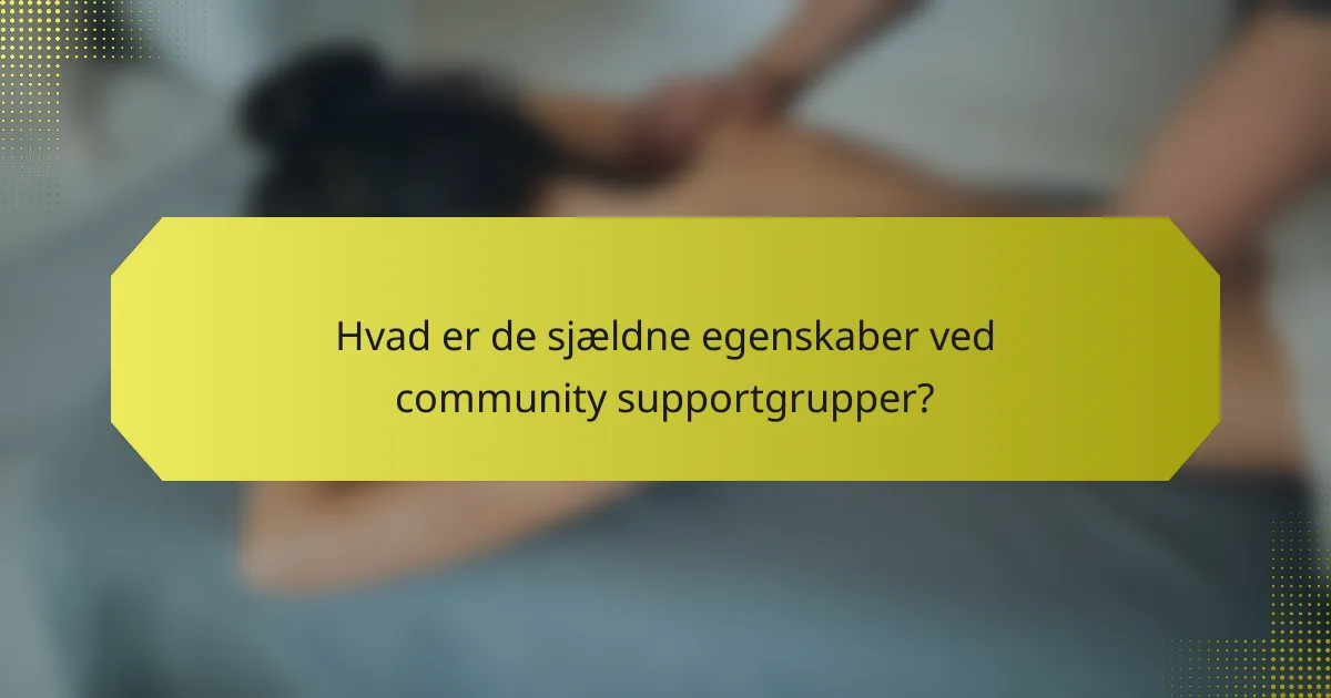 Hvad er de sjældne egenskaber ved community supportgrupper?