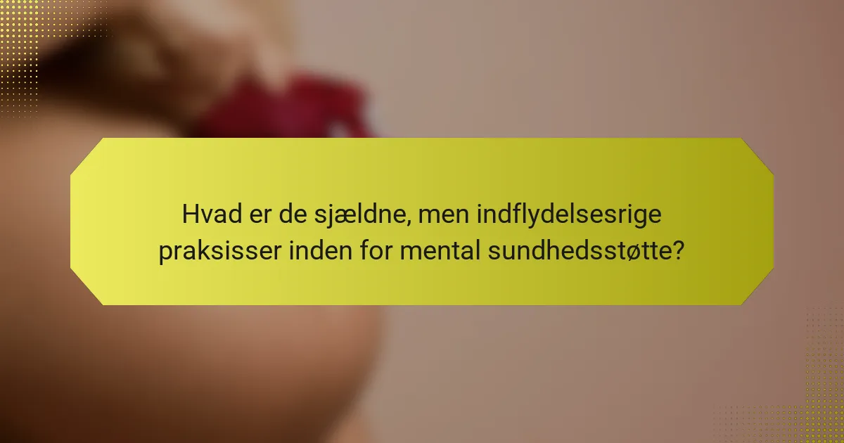 Hvad er de sjældne, men indflydelsesrige praksisser inden for mental sundhedsstøtte?