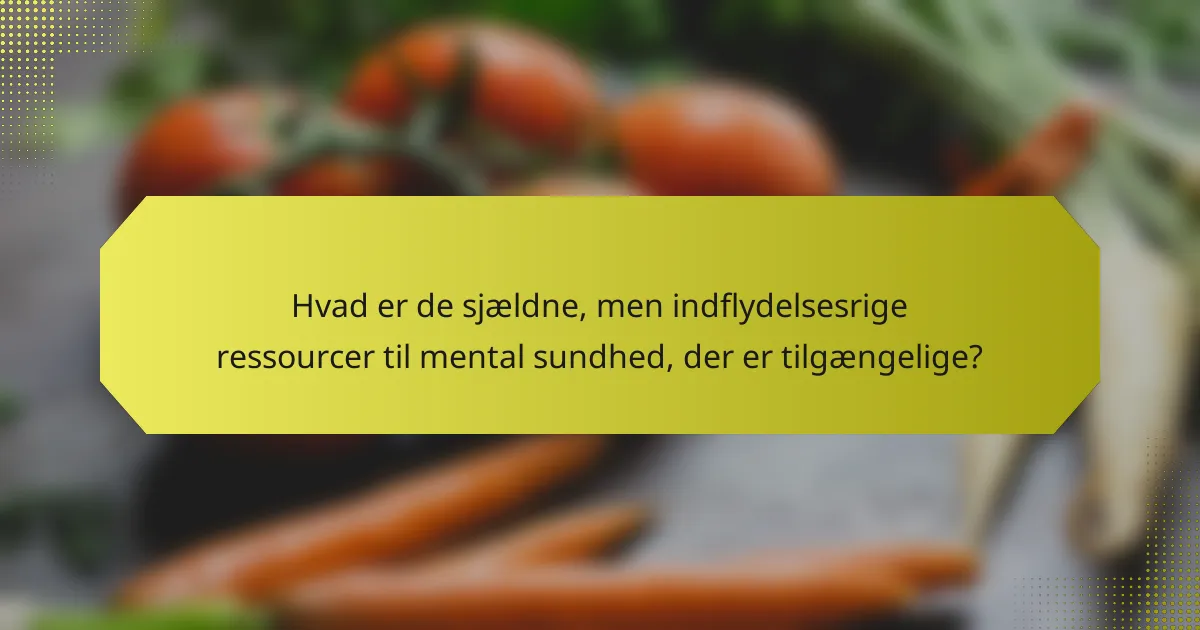 Hvad er de sjældne, men indflydelsesrige ressourcer til mental sundhed, der er tilgængelige?