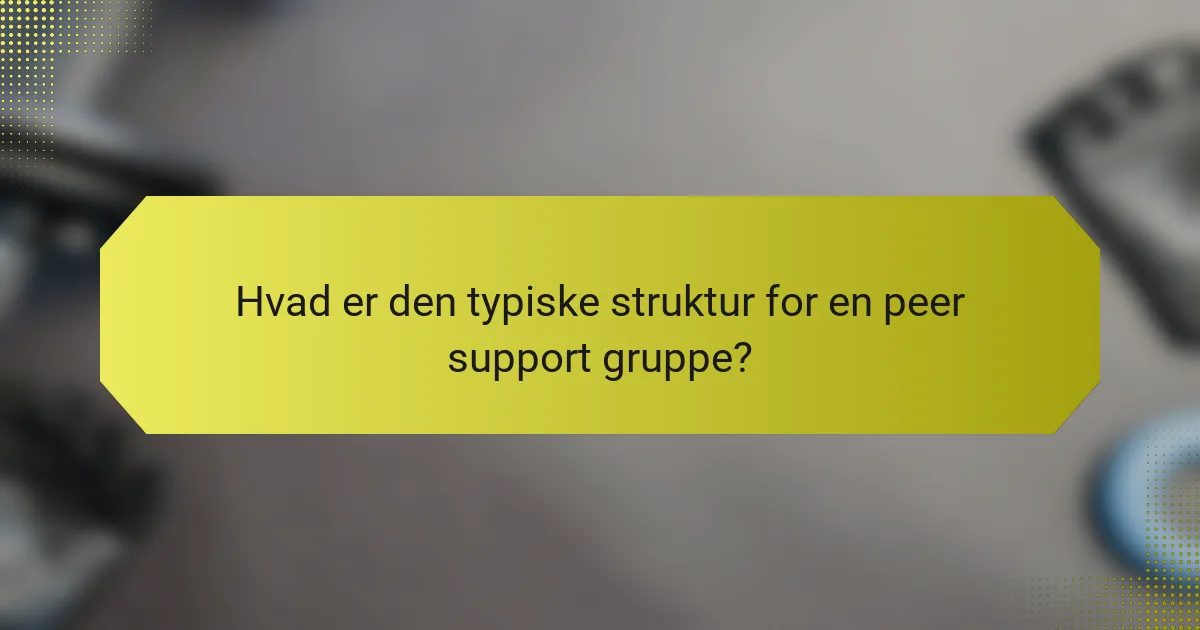 Hvad er den typiske struktur for en peer support gruppe?