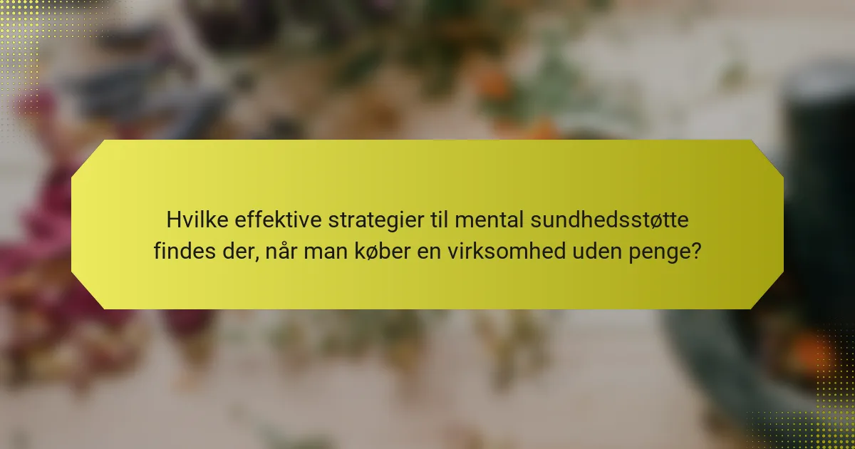Hvilke effektive strategier til mental sundhedsstøtte findes der, når man køber en virksomhed uden penge?