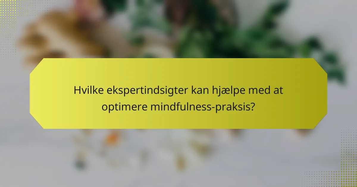 Hvilke ekspertindsigter kan hjælpe med at optimere mindfulness-praksis?