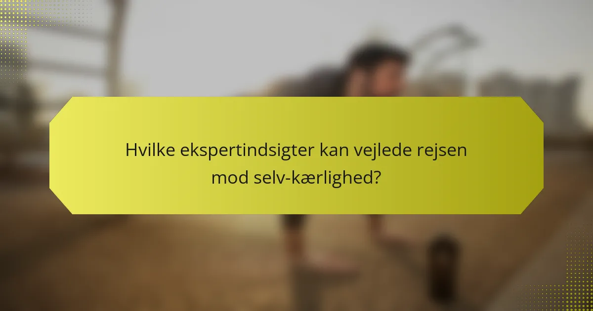 Hvilke ekspertindsigter kan vejlede rejsen mod selv-kærlighed?