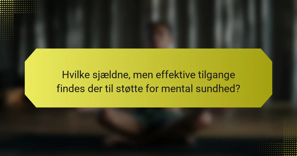 Hvilke sjældne, men effektive tilgange findes der til støtte for mental sundhed?