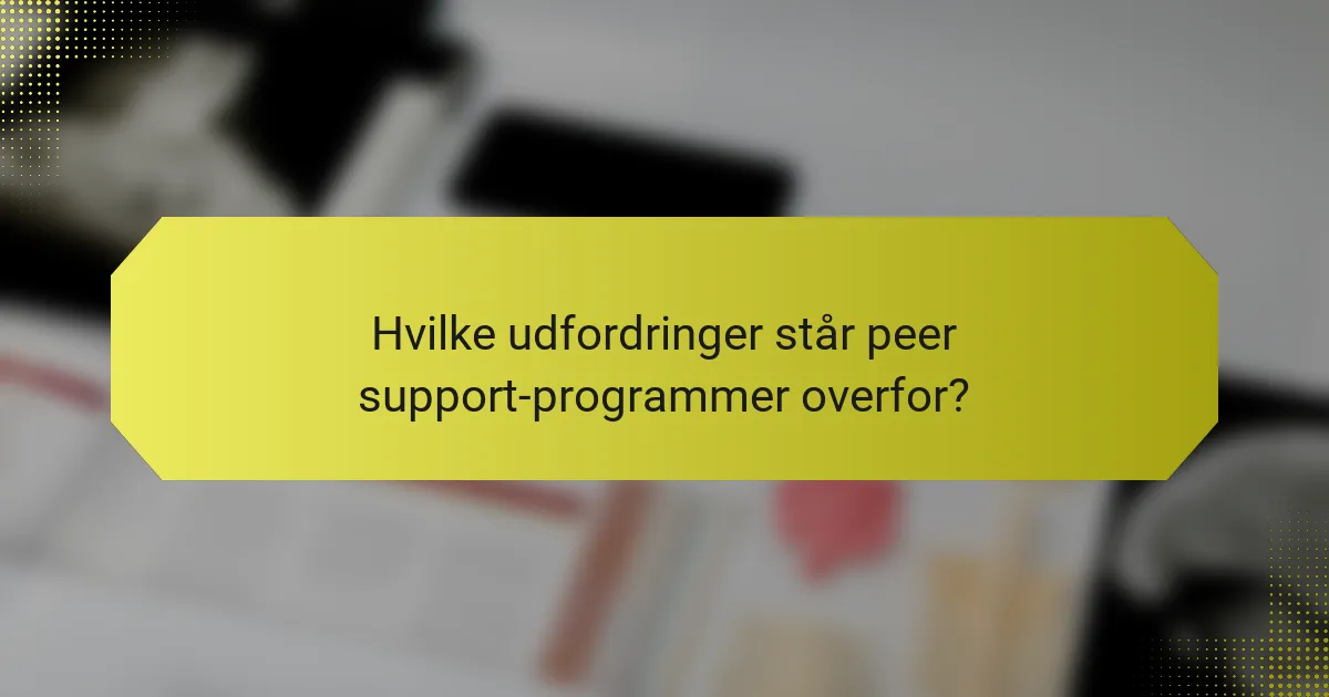 Hvilke udfordringer står peer support-programmer overfor?