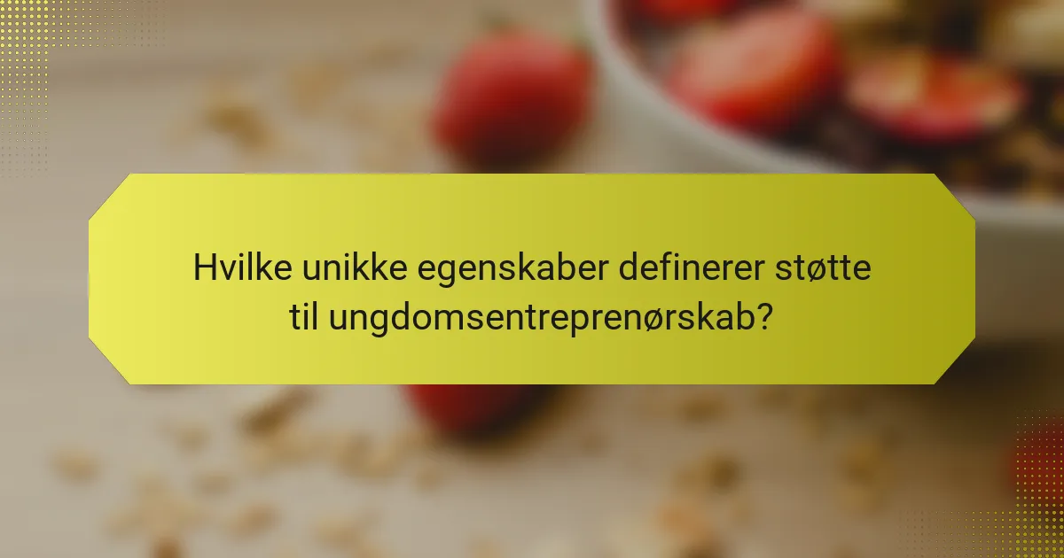Hvilke unikke egenskaber definerer støtte til ungdomsentreprenørskab?