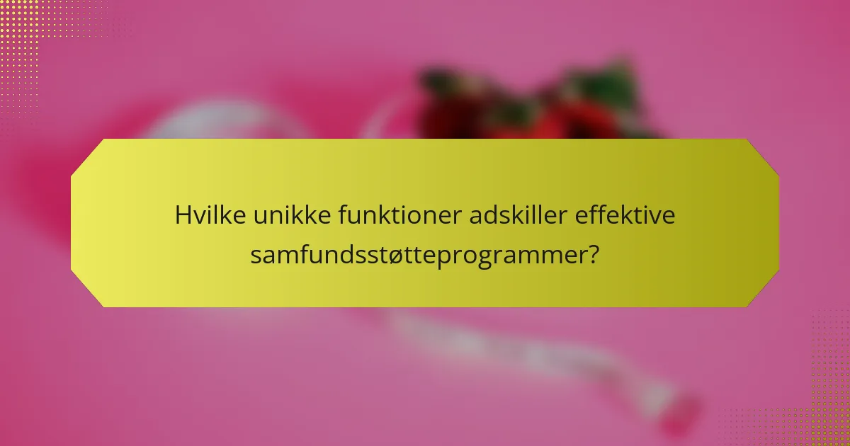 Hvilke unikke funktioner adskiller effektive samfundsstøtteprogrammer?