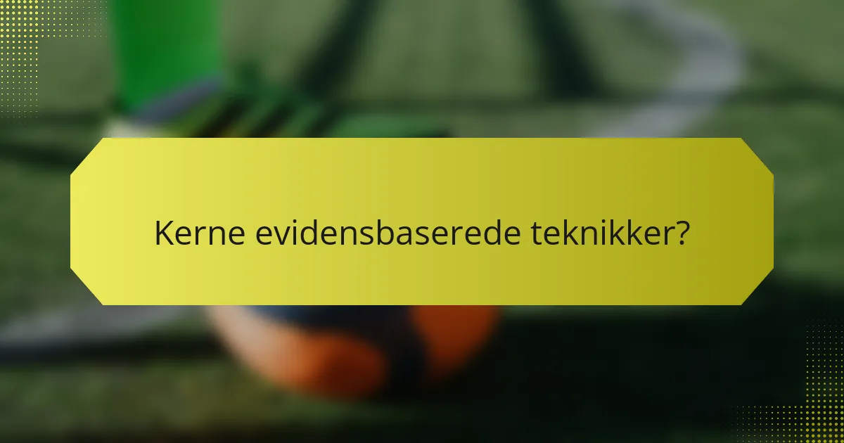 Kerne evidensbaserede teknikker?